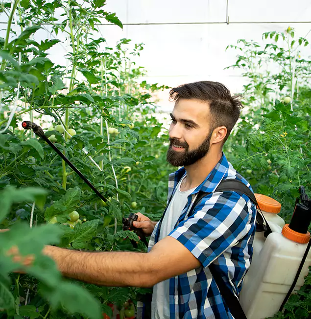 Why Hamburg Homeowners Choose Hamburg Pest Control Pro for Mosquito Spraying?