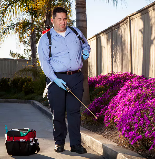 Why Choose Hamburg Pest Control Pro in Hamburg, MI?