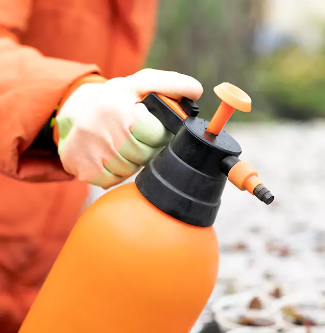 Why Choose Hamburg Pest Control Pro for Orange Termite Treatment in Hamburg, MI?