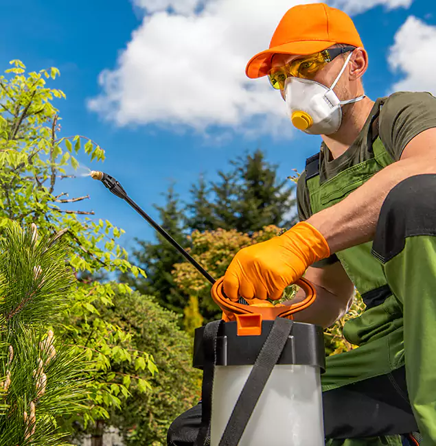 Why Choose Hamburg Pest Control Pro for Outdoor Pest Control in Hamburg, MI?