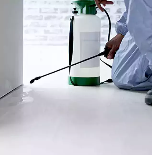 Why Choose Hamburg Pest Control Pro for Rat Exterminator in Hamburg, MI?
