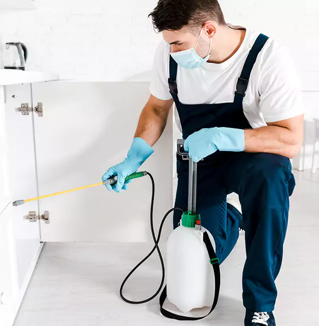 Why Choose Hamburg Pest Control Pro for Termite Spot Treatment in Hamburg, MI?