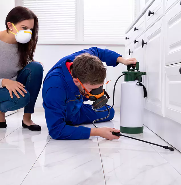 Why Choose Wood Termite Treatment by Hamburg Pest Control Pro in Hamburg, MI?