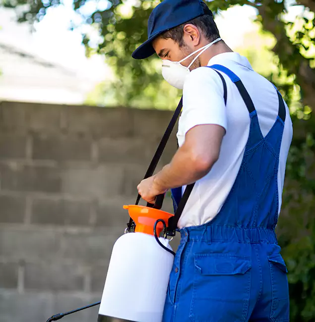 Why Hamburg Pest Control Pro Is the Right Choice for Yellow Jacket Removal in Hamburg, MI?