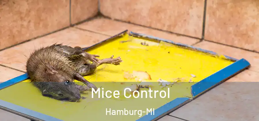 Mice Control Hamburg-MI
