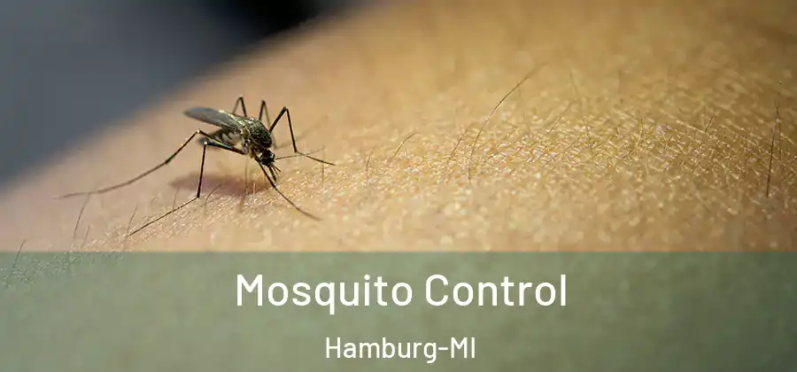 Mosquito Control Hamburg-MI