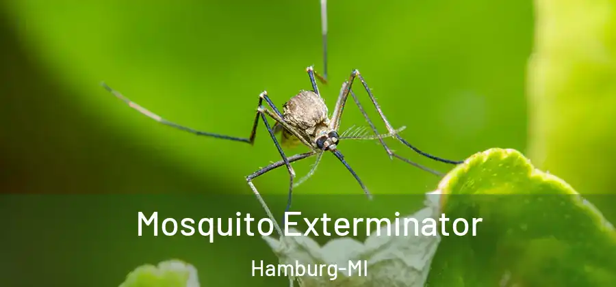 Mosquito Exterminator Hamburg-MI