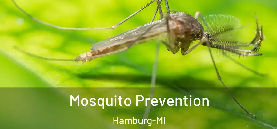 Mosquito Prevention Hamburg-MI