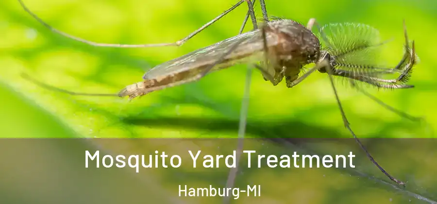 Mosquito Yard Treatment Hamburg-MI