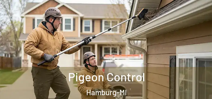 Pigeon Control Hamburg-MI