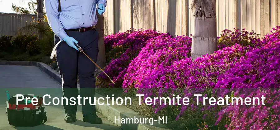 Pre Construction Termite Treatment Hamburg-MI