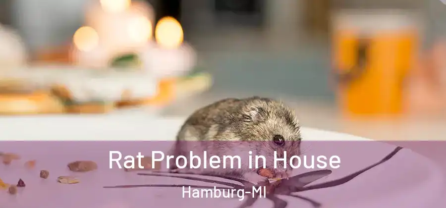 Rat Problem in House Hamburg-MI