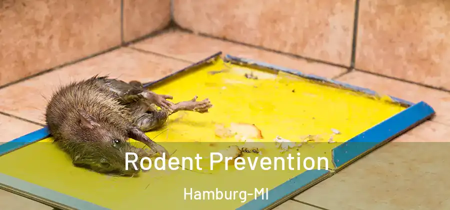 Rodent Prevention Hamburg-MI