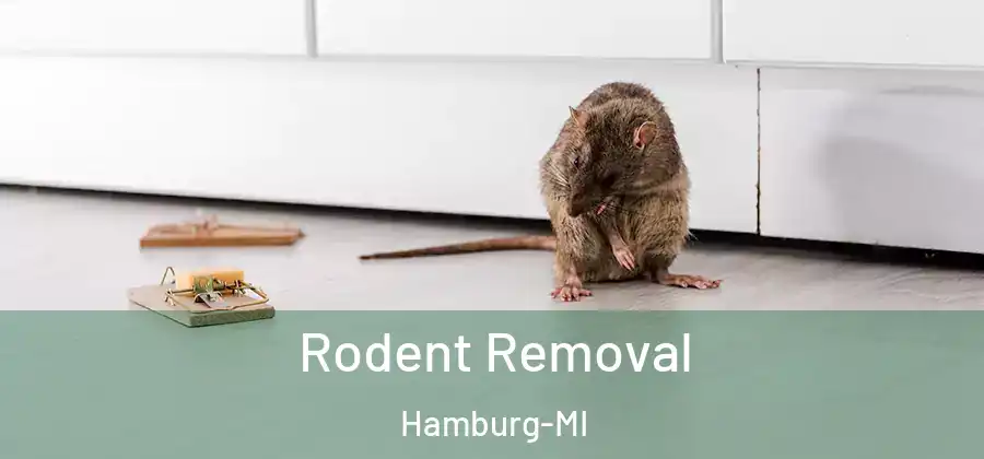 Rodent Removal Hamburg-MI