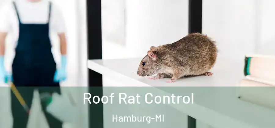Roof Rat Control Hamburg-MI