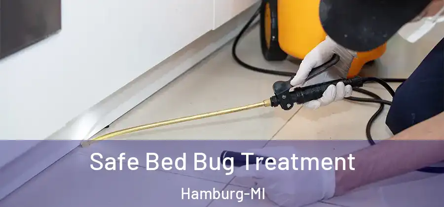 Safe Bed Bug Treatment Hamburg-MI