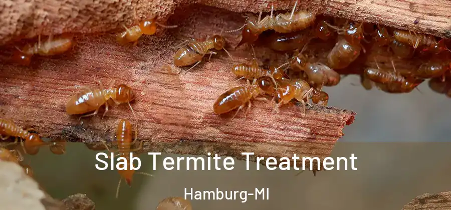 Slab Termite Treatment Hamburg-MI
