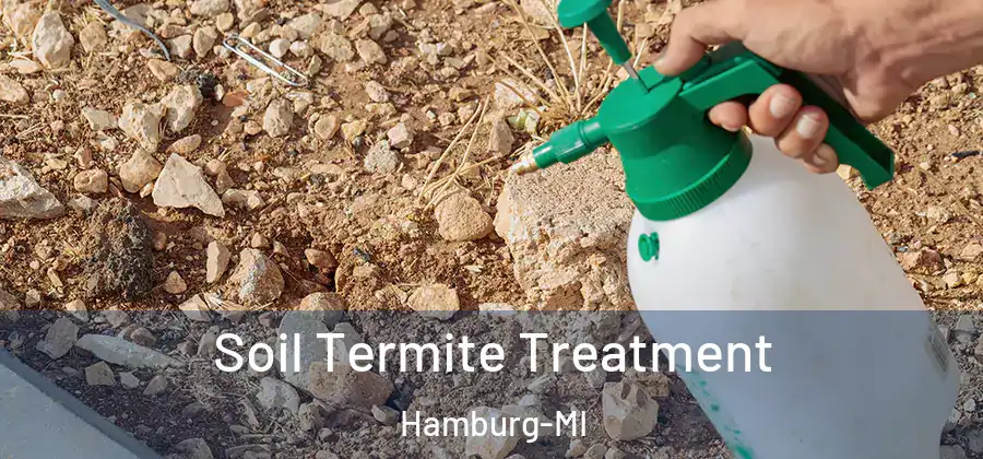 Soil Termite Treatment Hamburg-MI