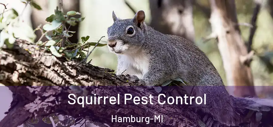 Squirrel Pest Control Hamburg-MI