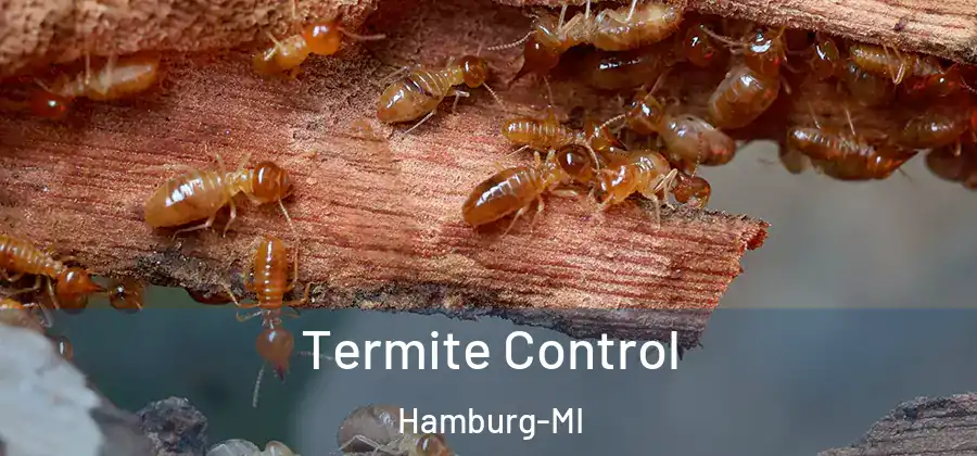 Termite Control Hamburg-MI