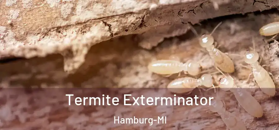 Termite Exterminator Hamburg-MI