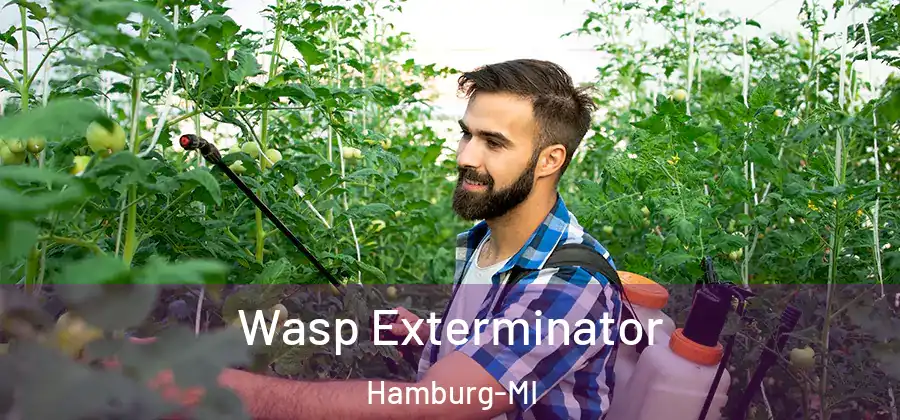 Wasp Exterminator Hamburg-MI