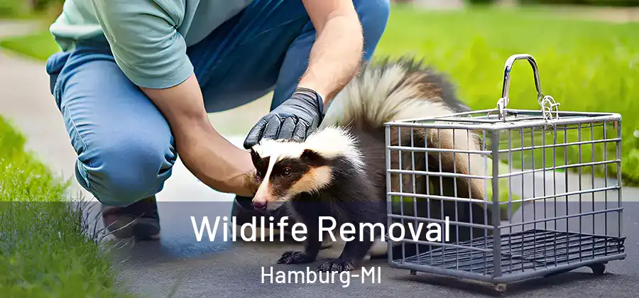  Wildlife Removal Hamburg-MI