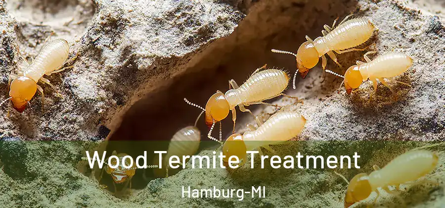 Wood Termite Treatment Hamburg-MI